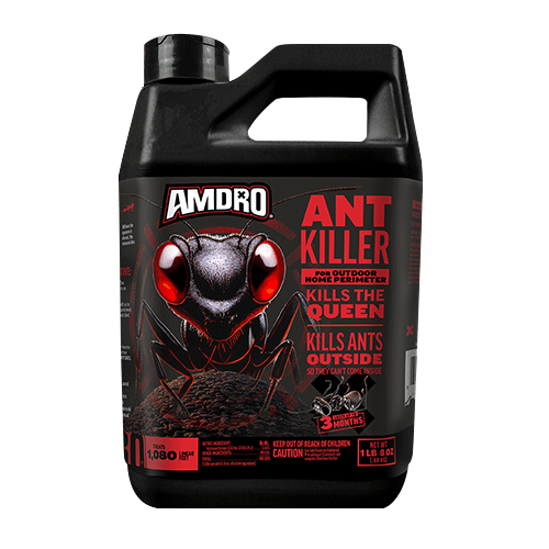 amdro-ant-block-home-perimeter-24oz_1_-removebg-preview