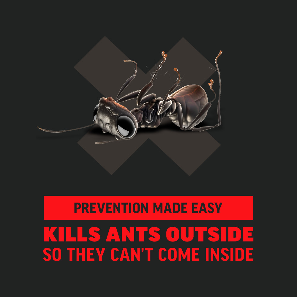 amdro-ant-killer-for-outdoor-home-perimeter-ant- bait-4