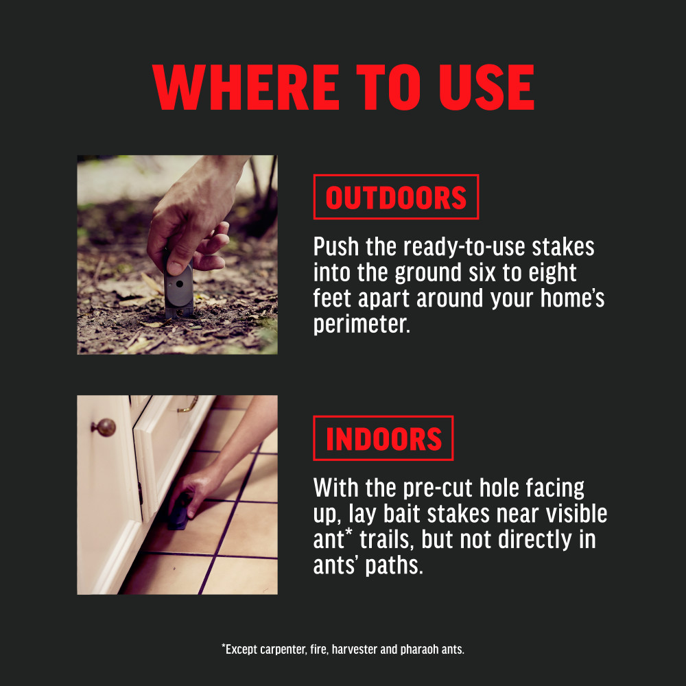 amdro-ant-killing-bait-stakes-7
