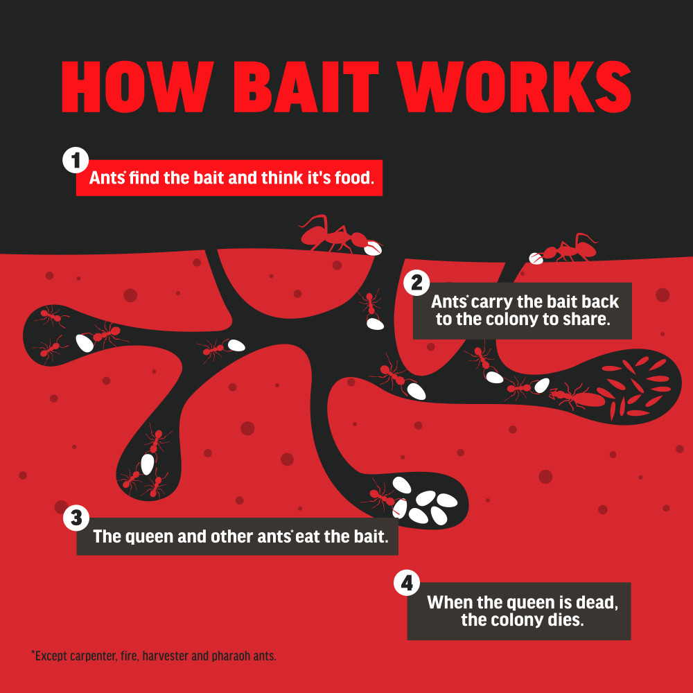 amdro-ant-killing-bait-stakes-8