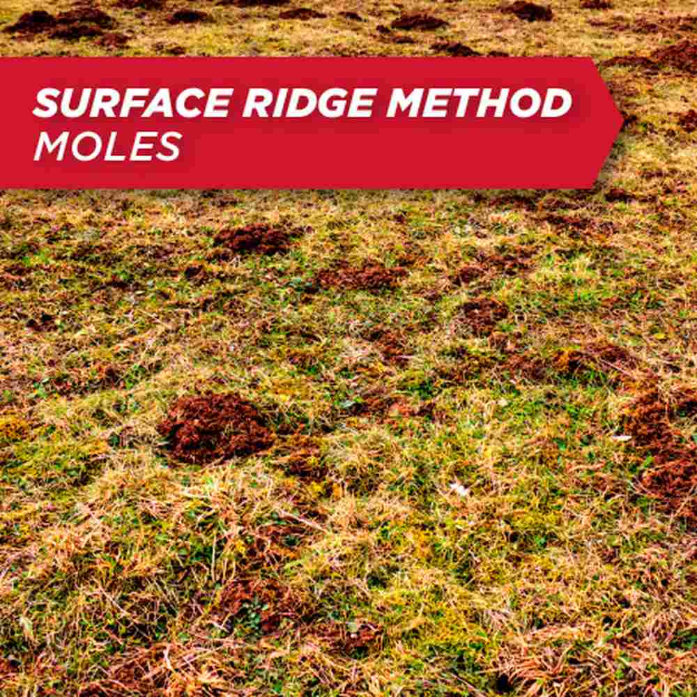 amdro mole and gopher bait