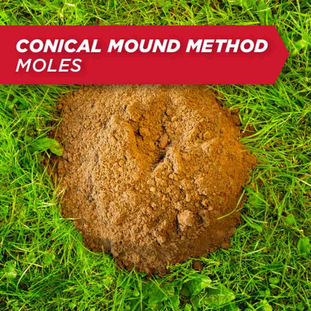 amdro mole and gopher bait