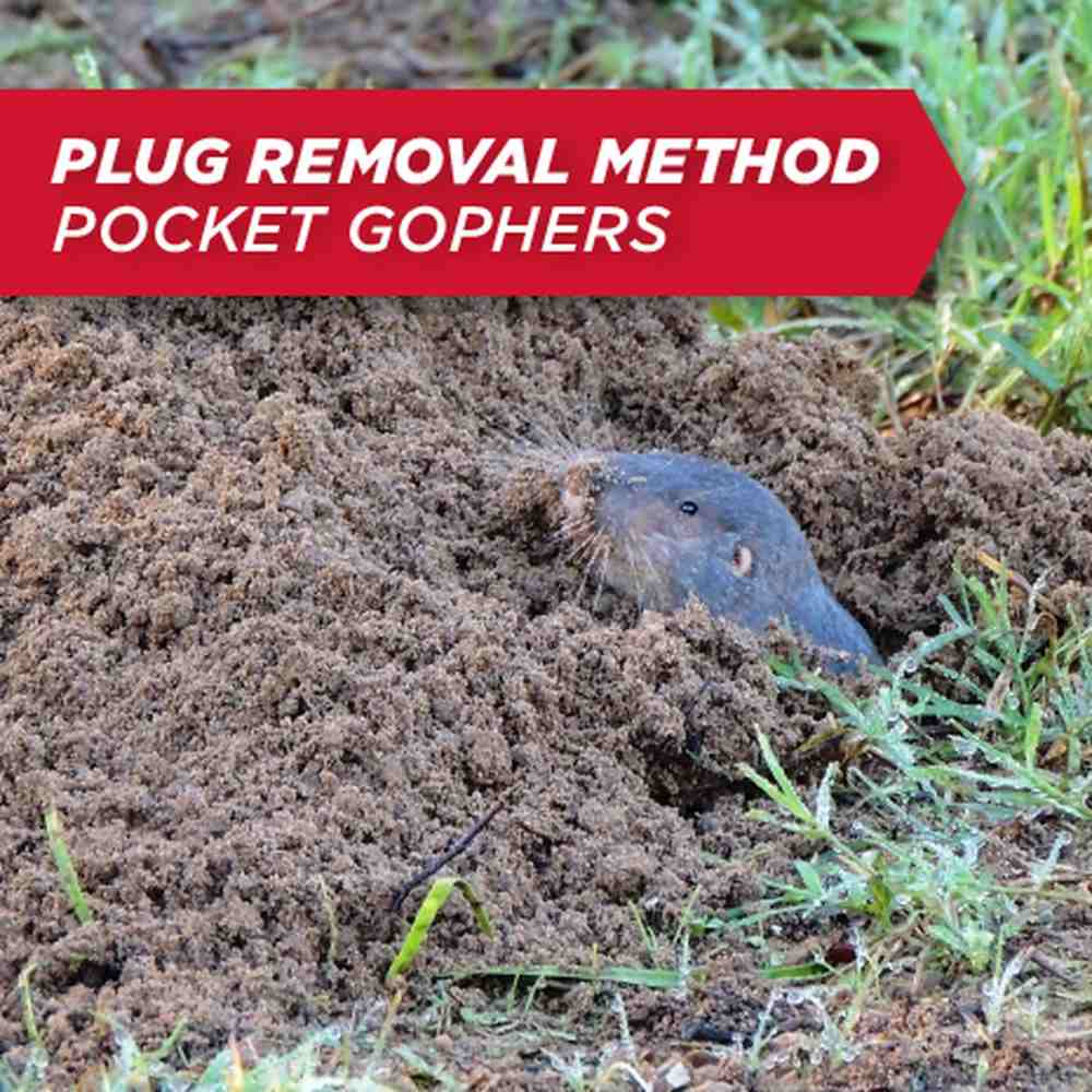 amdro mole and gopher bait