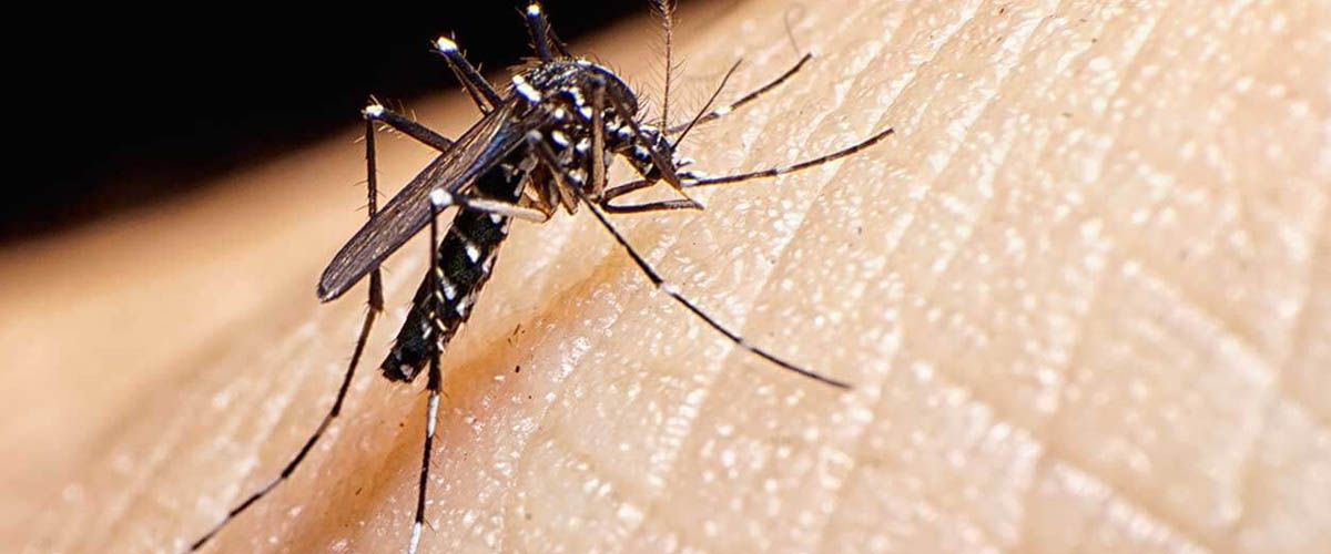 On February 1, 2016, the World Health Organization (WHO) declared the fast-moving Zika virus an international public health emergency.