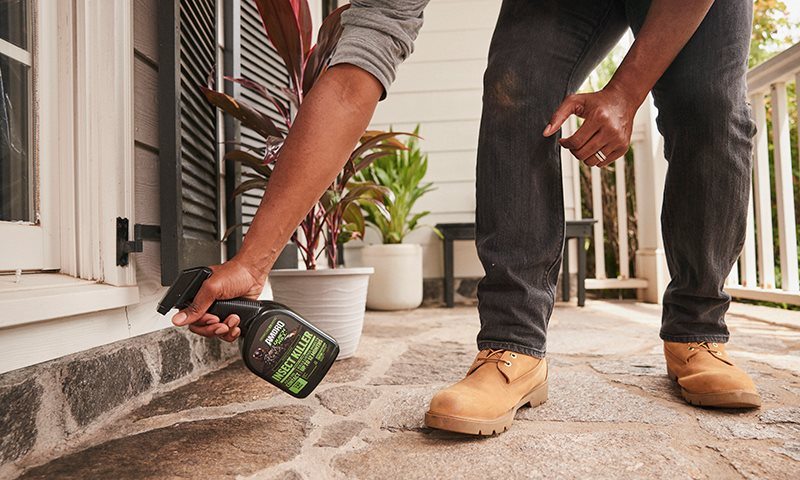 two battles one weapon with amdro