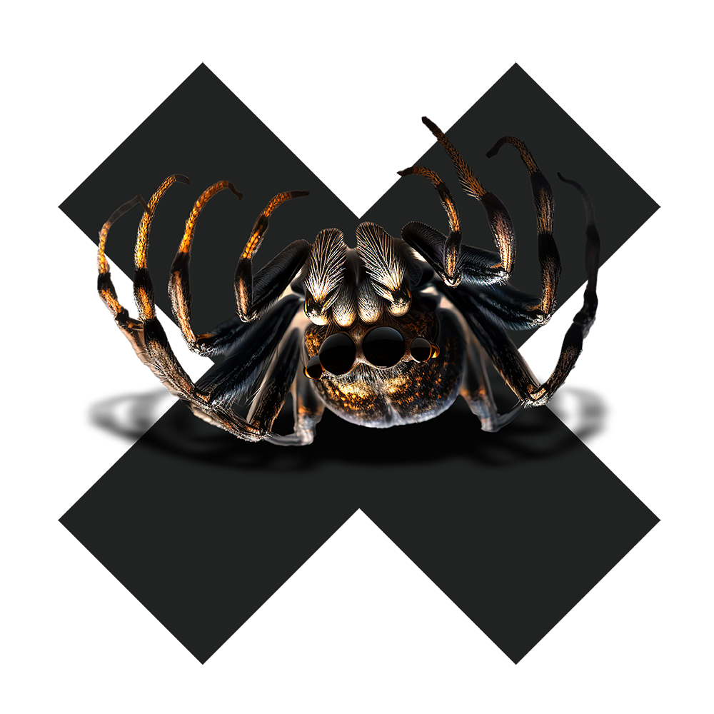 Spider-Control-button