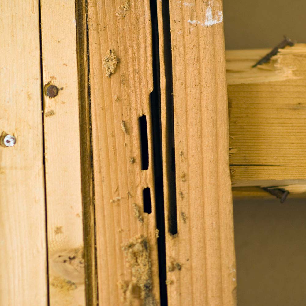 carpenter_image04