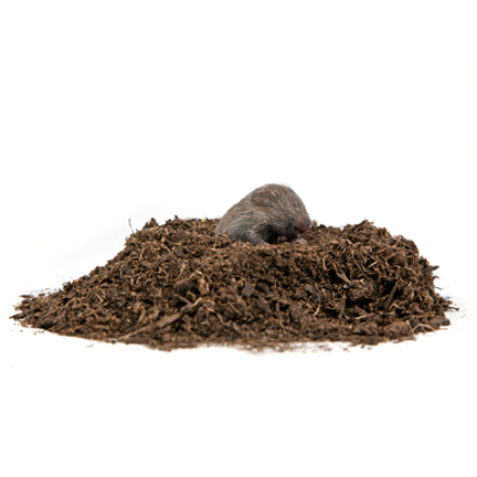 burrowing-pests