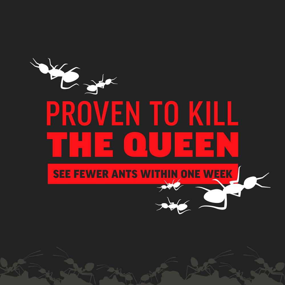 amdro-ant-killer-for-outdoor-home-perimeter-ant- bait-5