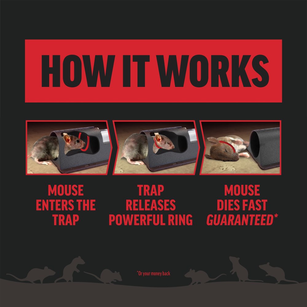 amdro mouse trap