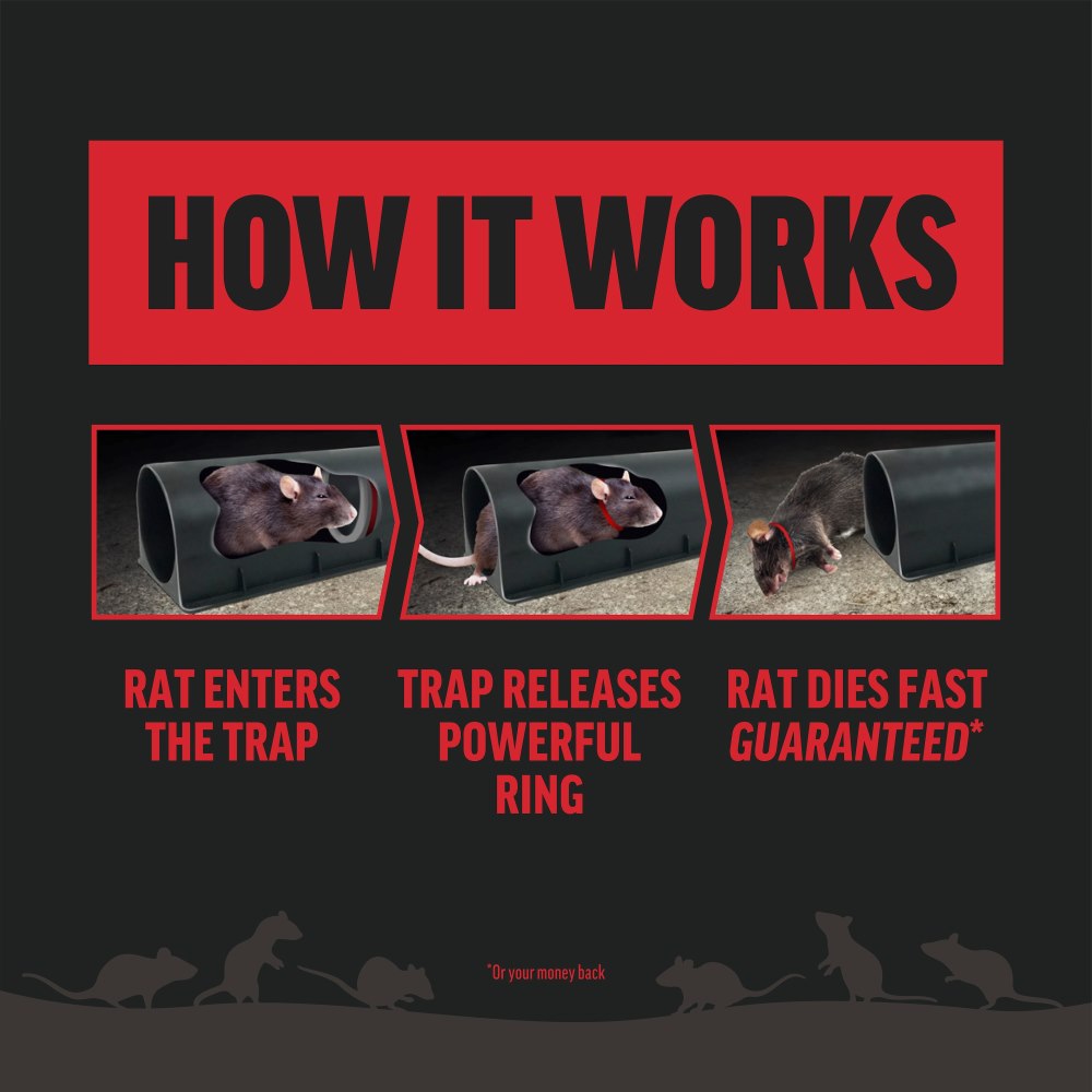amdro rat trap
