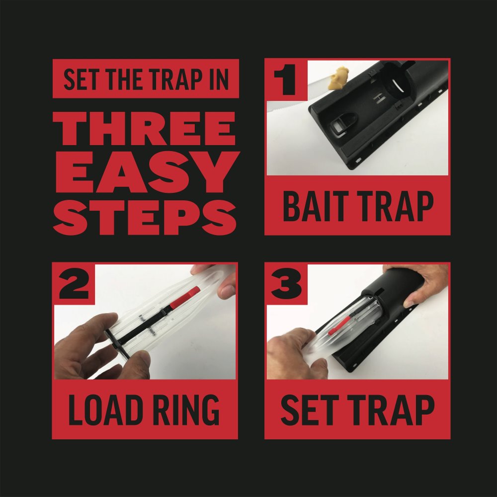 amdro rat trap