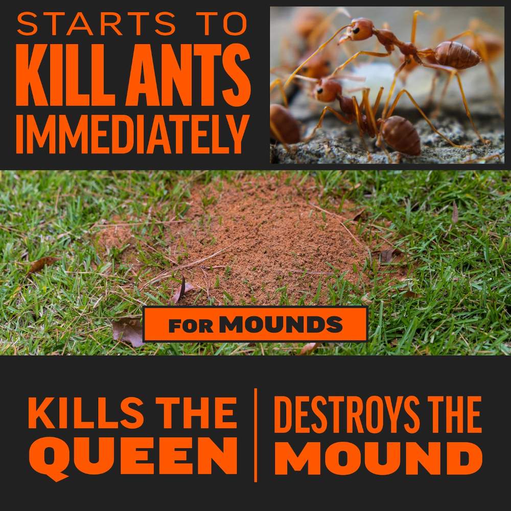 amdro fire ant killer for mounds