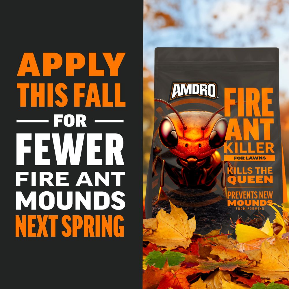 apply amdro fire ant killer for lawns this fall for fewer fire ant mounds next spring