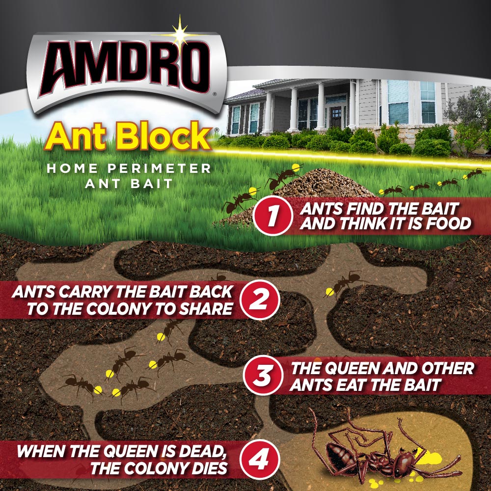 Amdro Ant Block instructions