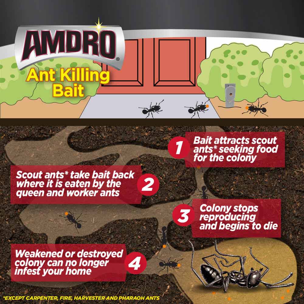 AMDRO ant killing bait stakes