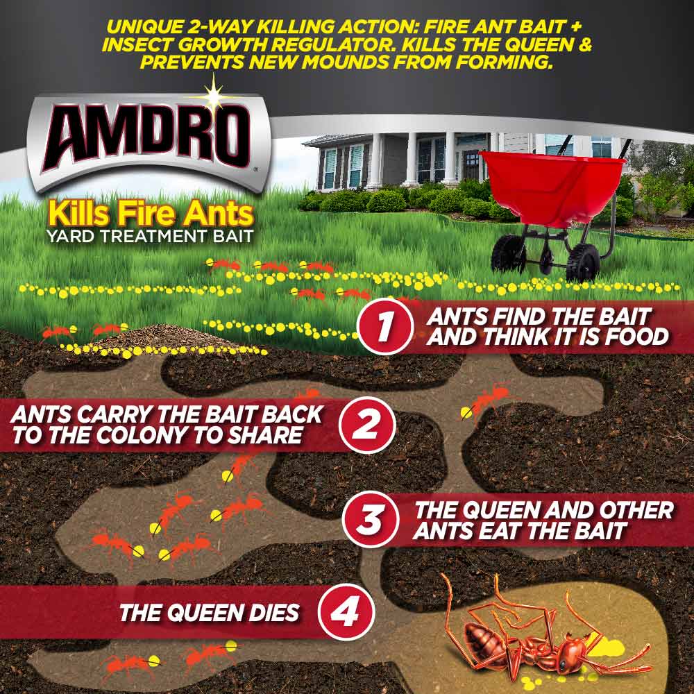 How AMDRO fire ant bait works