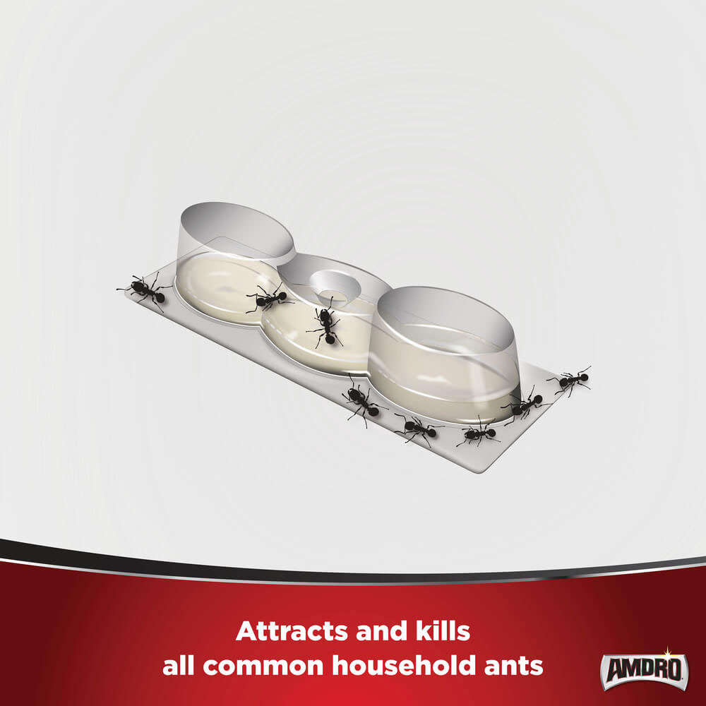 AMDRO kills ants liquid bait station