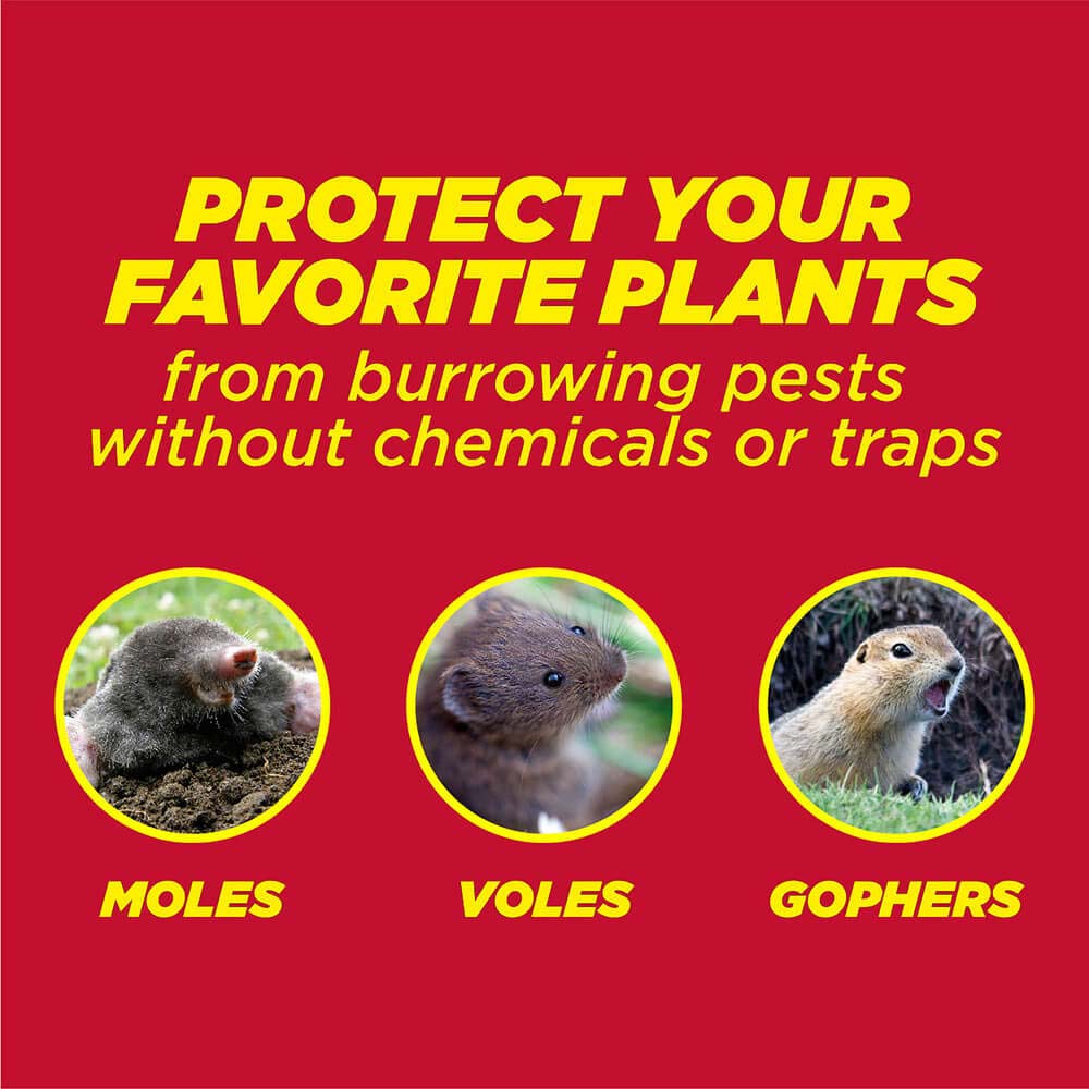 AMDRO mole and gopher blocker