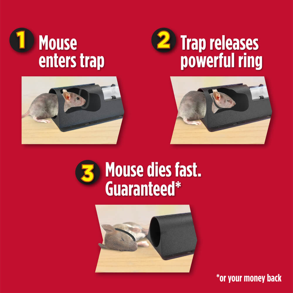 https://www.amdro.com/-/media/Project/OneWeb/Amdro/Images/products/Amdro-Mouse-Trap/am_mousetrap_altimage01.jpg