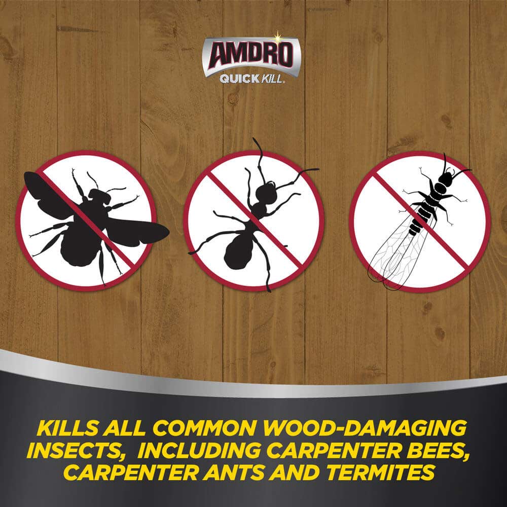 AMDRO quick kill carpenter bee ant and termite killer foam