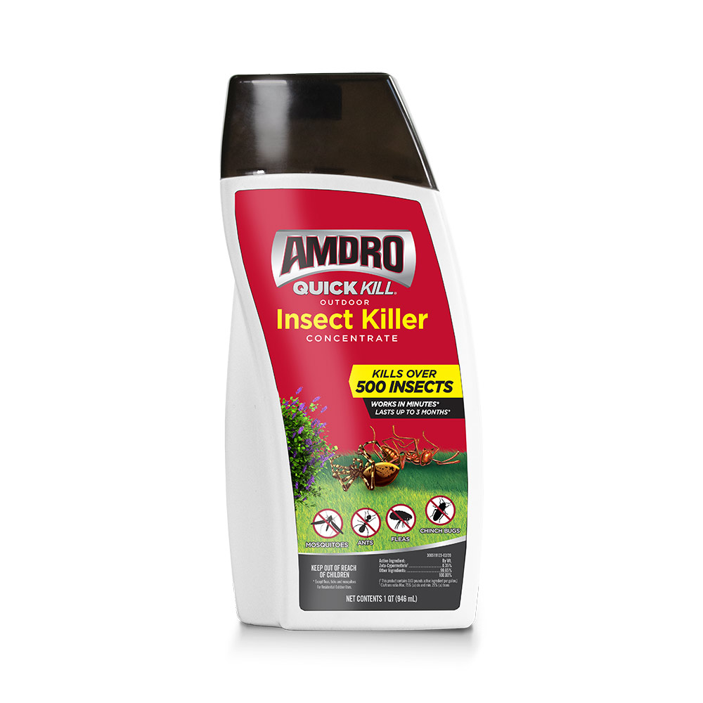 AMDRO quick kill outdoor insect concentrate