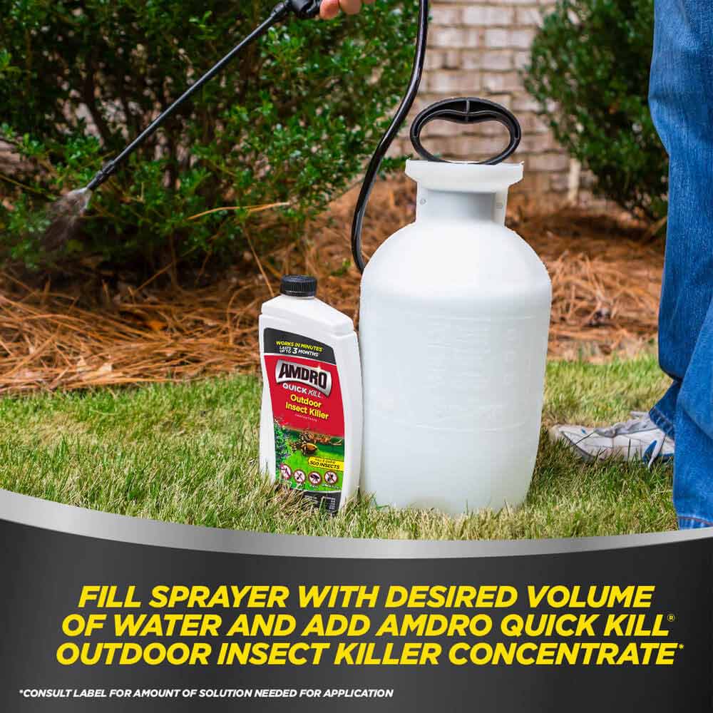 AMDRO quick kill outdoor insect killer concentrate