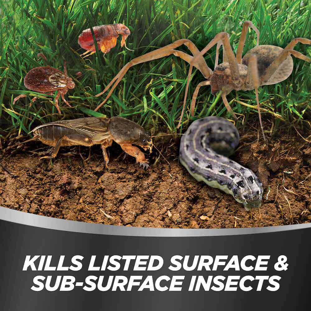 AMDRO quick kill lawn insect killer granules