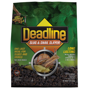 Deadline-Slug-Snail-Bag