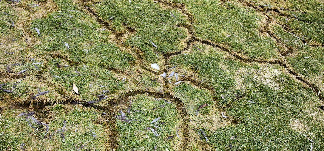 Tunnels In Lawn tunnels-in-lawn